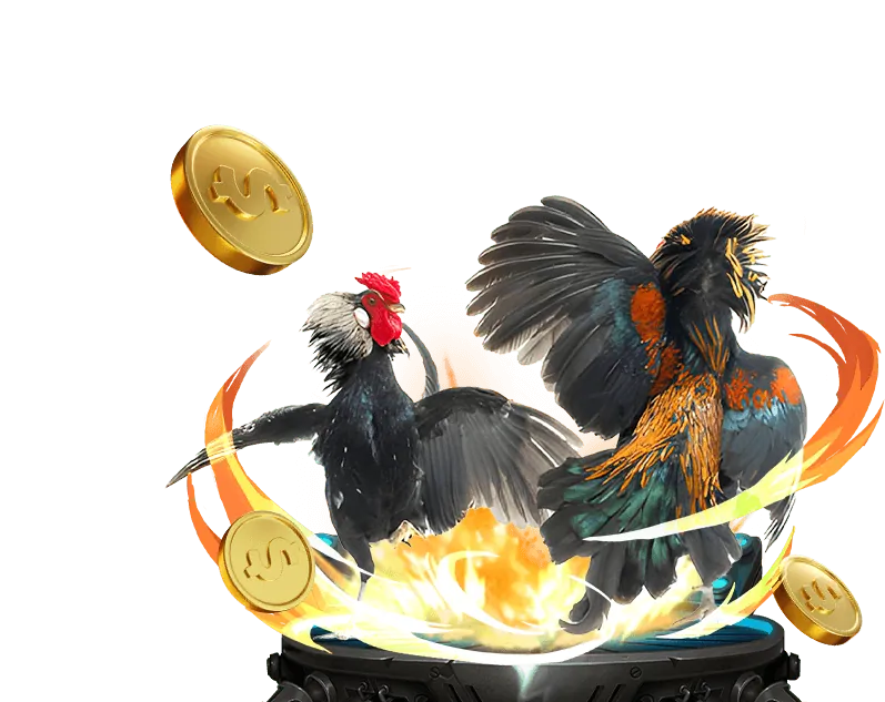 Môi trường an toàn